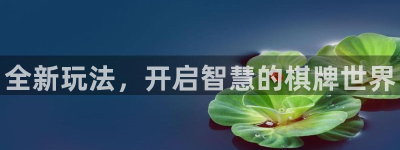 28大神玩法：全新玩法，开启智慧的棋牌世界
