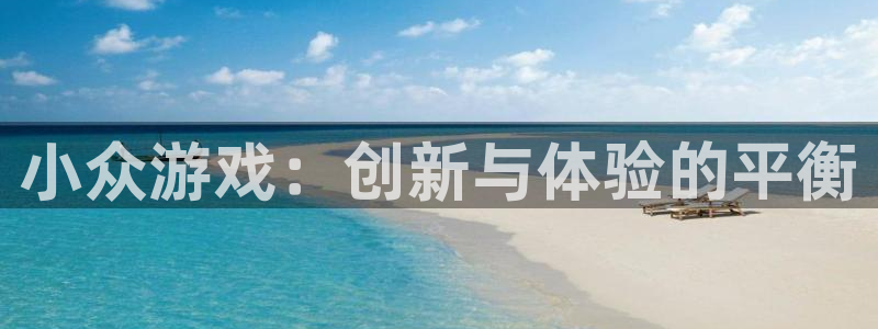 28大神报数：小众游戏：创新与体验的平衡