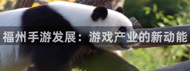 28大神眯牌：福州手游发展：游戏产业的新动能