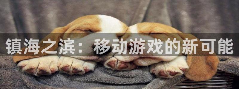 最新28大神预测：镇海之滨：移动游戏的新可能