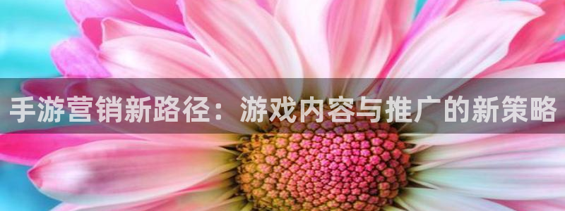 28大神老版本：手游营销新路径：游戏内容与推广的新策略