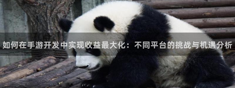 28大神：如何在手游开发中实现收益最大化：不同平台的挑战与机