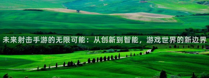 大神28开奖：未来射击手游的无限可能：从创新到智能，游戏世界