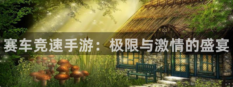 28大神怎么不能用了：赛车竞速手游：极限与激情的盛宴