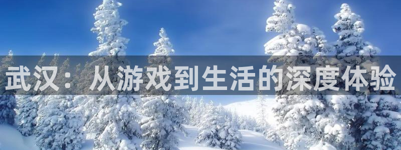 28大神6.0.0版：武汉：从游戏到生活的深度体验