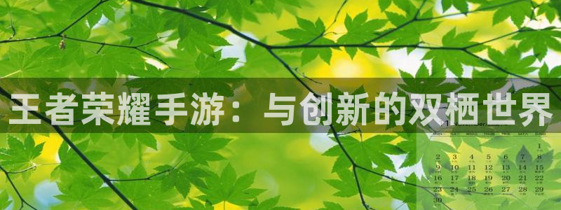 大神28ios：王者荣耀手游：与创新的双栖世界