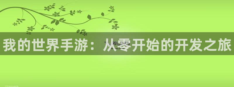 28大神专业版下载地址：我的世界手游：从零开始的开发之旅
