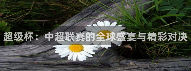 833篮球直播免费高清直播：超级杯：中超联赛的全球盛宴与精彩对决