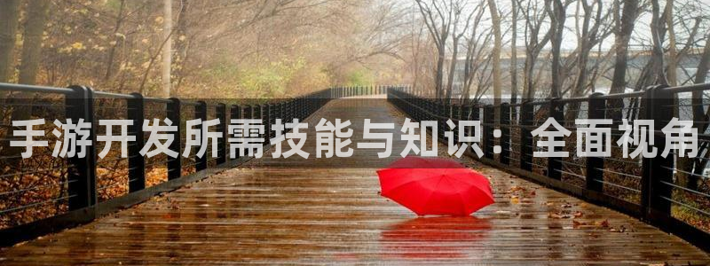 大神28开奖查询：手游开发所需技能与知识：全面视角