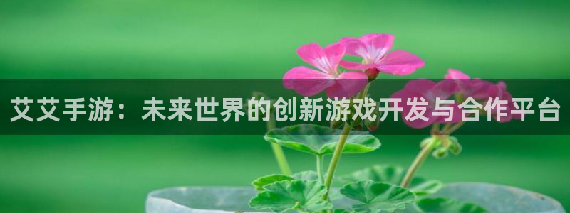 28大神官方下载苹果：艾艾手游：未来世界的创新游戏开发与合作