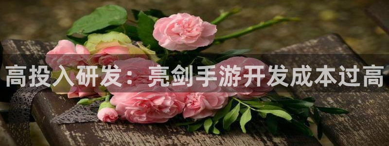 28大神预测官网：高投入研发：亮剑手游开发成本过高