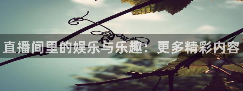 833直播免费体育直播：直播间里的娱乐与乐趣：更多精彩内容