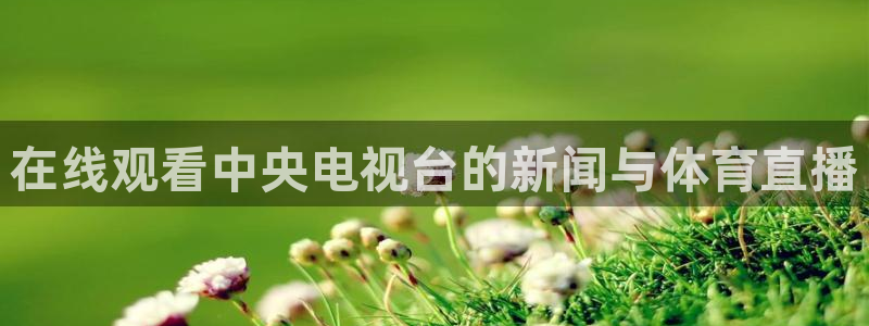 833直播：在线观看中央电视台的新闻与体育直播