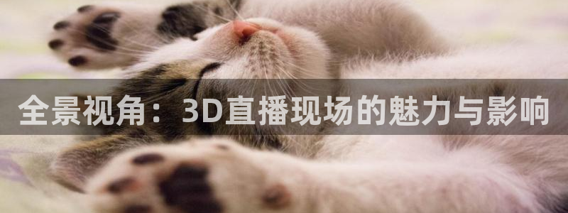 足球比赛直播间833：全景视角：3D直播现场的魅力与影响