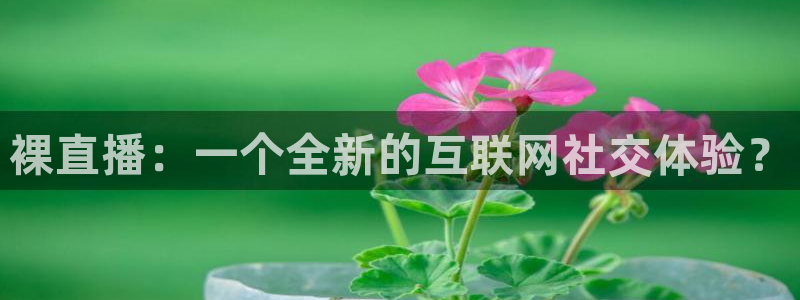 833足球直播：裸直播：一个全新的互联网社交体验？
