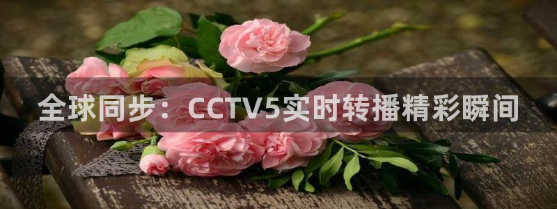 833足球直播网