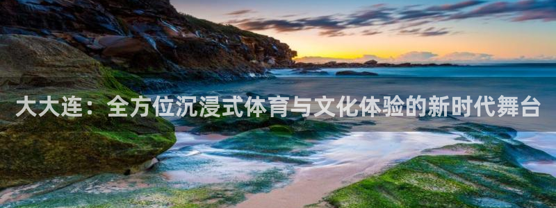 833nba直播