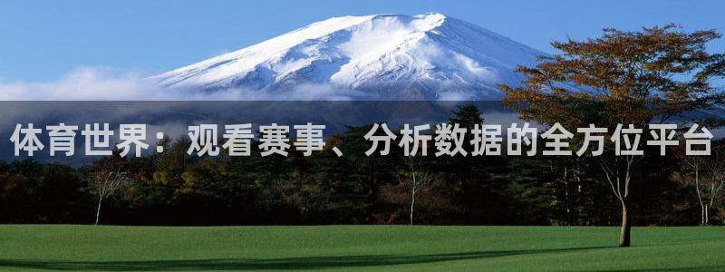 833体育直播观看：体育世界：观看赛事、分析数据的全方位平台