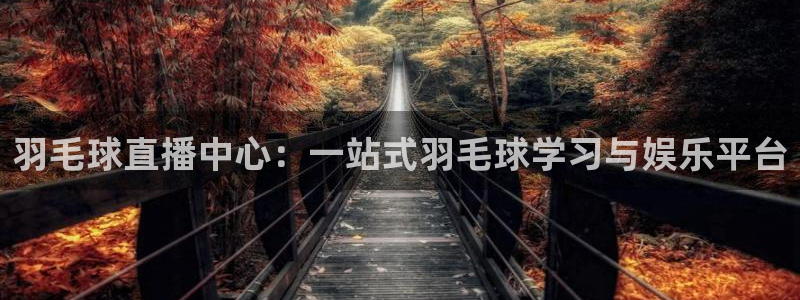 833体育免费直播平台：羽毛球直播中心：一站式羽毛球学习与娱乐平台